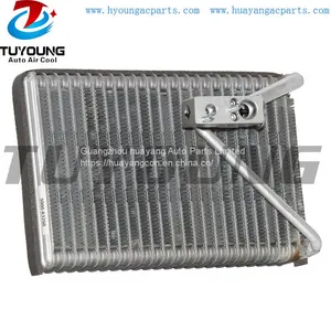 TUYOUNG HY-ET290 Case/IH and Ford/New Holland Auto AC Evaporator With Expansion Valve 84579699 thumbnail-1