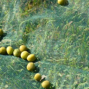 100% Virgin Olive Harvest Net Cheap Price Olive Netting For Sale Plastic Olive Nets thumbnail-5