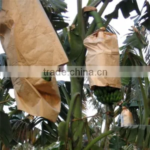 Banana Protection Bags/growing Bags for Fruit thumbnail-1