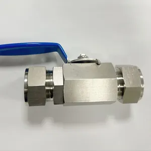 Custom 316 Stainless Steel Internal Thread Gate Valve for Tap Water Systems thumbnail-5