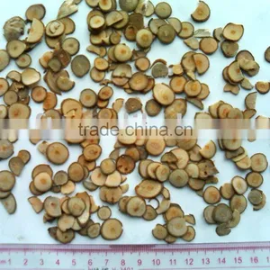 6-10 Cinnamon Twig thumbnail-1