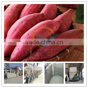 50t/day Large Capacity Sweet Potato Starch Processing Machine thumbnail-1