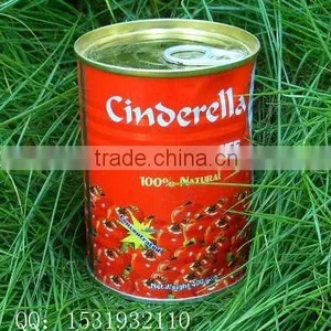 400gcanned Tomato Paste thumbnail-1