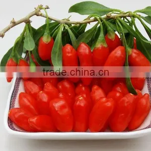 Ningxia Goji Berry 2016 Harvest thumbnail-1