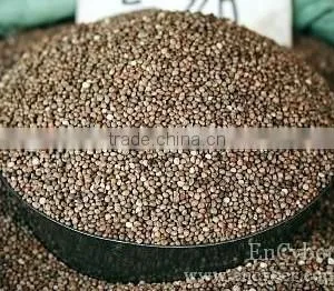 Brown Perilla Seeds for Bird Feed thumbnail-1