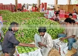Green Mangoes thumbnail-1