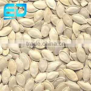 Different Types of Seeds Yellow Pumpkin for Sale, Pumpkin Seeds thumbnail-1