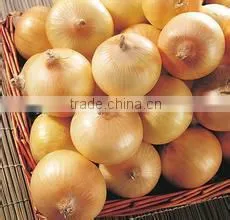 Net Bag for Onion thumbnail-1