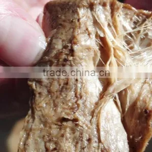 Isolated Soya Protein Tsp Soya Tvp Extrusion Machine thumbnail-4