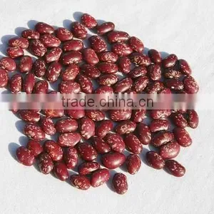 Purple Speckled Round Beans thumbnail-1