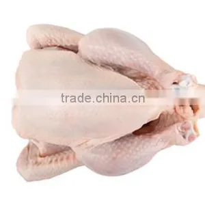HALAL GRADE A FOR SALE AND NON HALAL FROZENCHICKEN BREAST FILLET FROZEN CHICKEN BREAST thumbnail-6