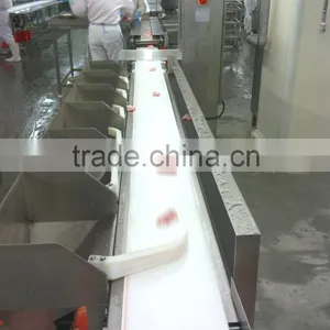 Automatic Stainless Steel Check Weigher, Weight Checking and Sorting Machine, Check Scale for Packaging System thumbnail-2