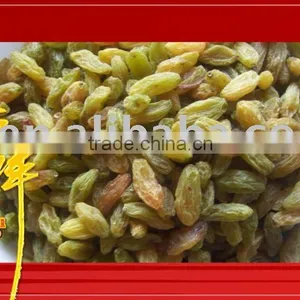 Dried Turkish Sultana Raisin thumbnail-1