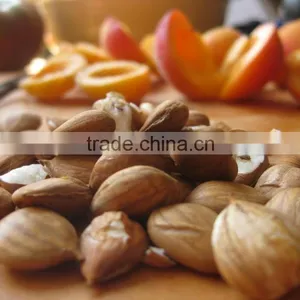 Apricot Kernel thumbnail-3