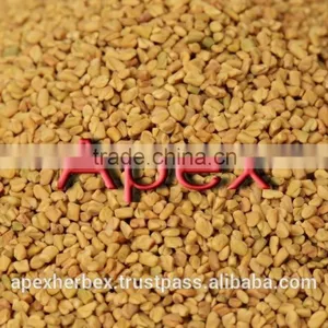 Fenugreek Seeds thumbnail-3
