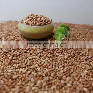 Roasted Buckwheat Kerner With Best Price thumbnail-3