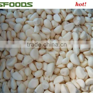 IQF Frozen Garlic Dice Garlic Minced Garlic Cube HOT SALE thumbnail-6