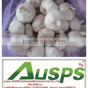 First Grade Fresh Pure White Garlic thumbnail-6