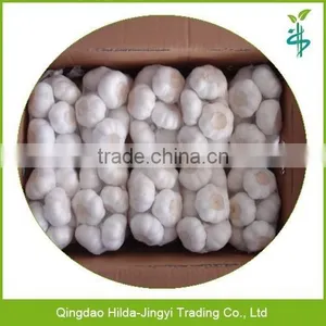 Chinese Garlic Wholesaler Garlic Distributor thumbnail-1