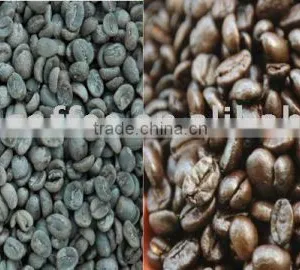 Coffee Bean thumbnail-1