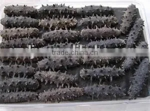 Liquid Nitrogen Fast Freeze Machine for Freezing Sea Cucumber thumbnail-2