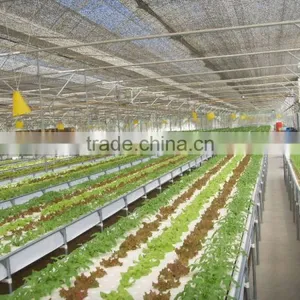 Commercial Greenhouse for Agriculture thumbnail-4
