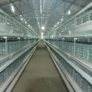 He'nan Zhongzhou Animal Husbandry Breeding Equipment Co., LTD company overview - view 1 thumbnail