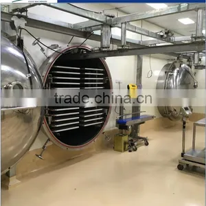 China Food Machinery Vacuum Freeze Dryer Dried Mango Processing Machine thumbnail-1
