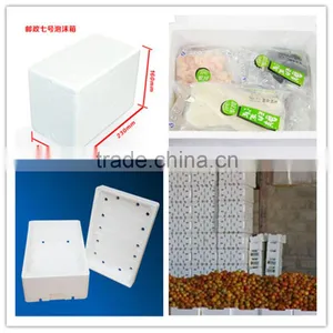 Polystyrene Foam Fish Box Making Machine thumbnail-5
