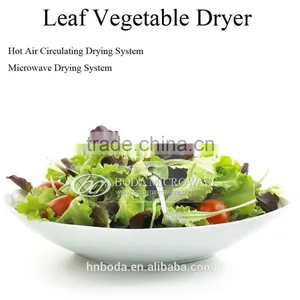 Leafy Vegetables Dryer thumbnail-1