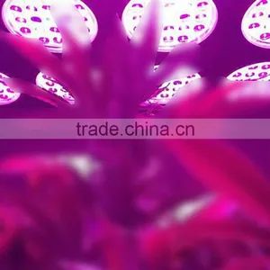Gehl X-Grow New Design Light Grow Led For Indoor Plant thumbnail-5
