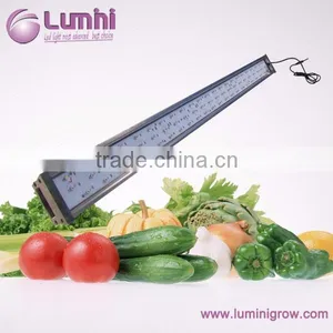 Wholesale Wifi Controller Grow Led Lights thumbnail-1