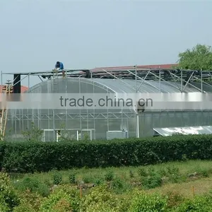 China Supplier Tomato Plastic High Tunnel Greenhouse thumbnail-4