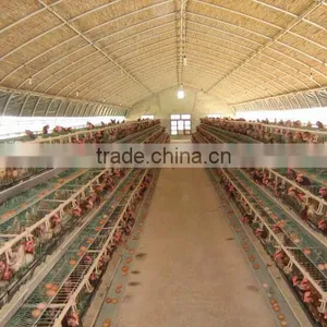 Tunnel Greenhouse for Agriculture thumbnail-3