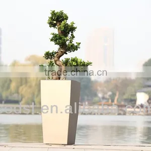 Large Plastic Plant Pots,square Plant Pot,cheap Flower Pot thumbnail-1