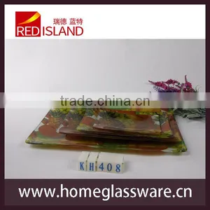 Hot Sale Rectangular Tempered Glass Plate With Fruit Pattern thumbnail-2