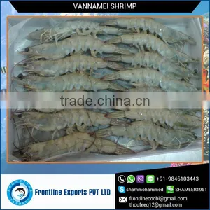 Sea Frozen Raw White Vannamei Shrimp Headless at Wholesale Price thumbnail-2