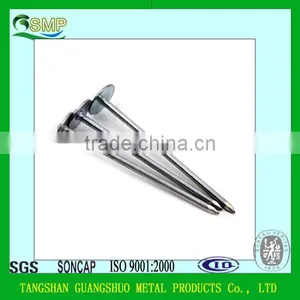 Umbrella Head Twist/Screw/smooth Shank Roofing Nails With Washer thumbnail-2