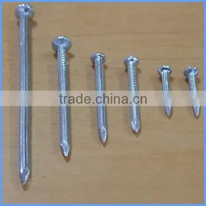 2 ''Concrete Nails/Cement Steel Nail From Guangzhou Supplier thumbnail-1