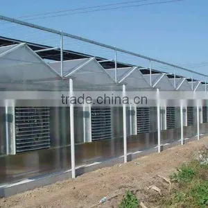 Large Multi-span Glass Green House Agriculture for Farming thumbnail-2