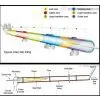 Cement Production Line thumbnail-1