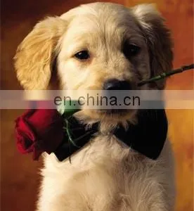 Fashion Promotion PET/PP Advertising Poster With 3d Effect thumbnail-3