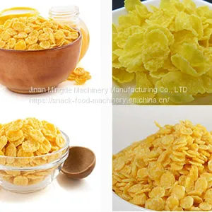 Breakfast Cereal Corn Flakes Processing Line thumbnail-2