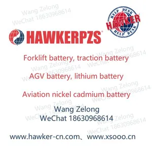 Hawker 6 EPZS 840 SLC Traction Battery MARATHON 48V840Ah thumbnail-2