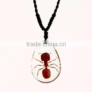 2016 Hot-selling Souvenir Gifts Resin Necklace With Real Insect thumbnail-3