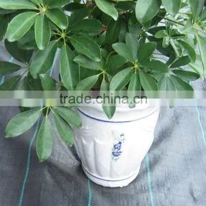 pp Woven Ground Cover thumbnail-1