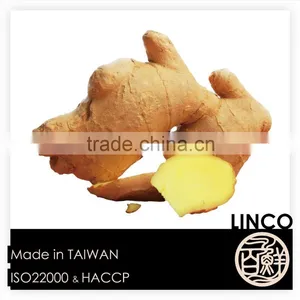 Hot Sale Instant Brown Suger Ginger Tea / Ginger Drink thumbnail-2