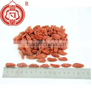 Berry Goji Bulk Goji Berries Wholesale Goji Berry thumbnail-5
