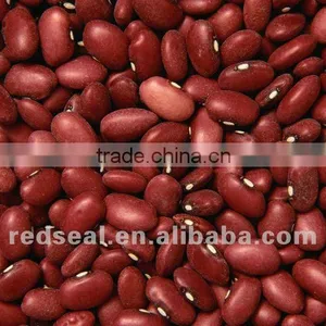 Dark Red Kidney Beans for Sale thumbnail-1