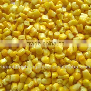 Wholesale Fresh Frozen Corn Kernel thumbnail-1